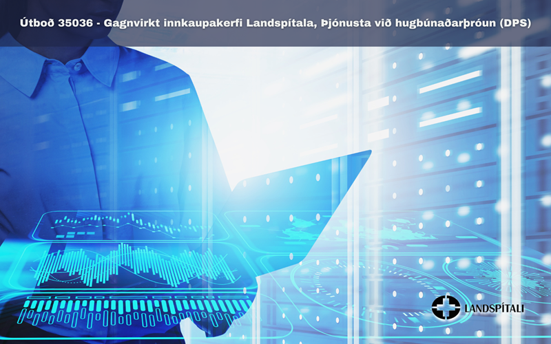 Gagnvirkt innkaupakerfi Landspítala, Þjónusta við hugbúnaðarþróun (DPS)