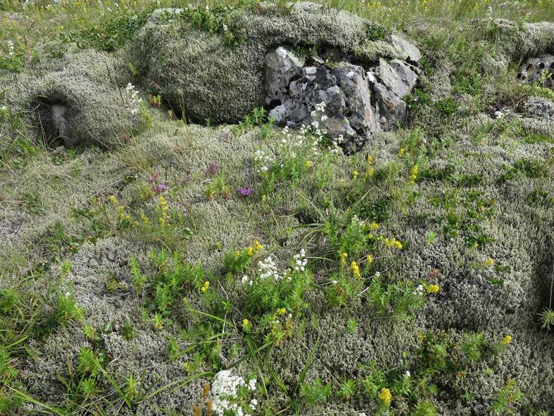 Vísindadagur sálfræðinga á Landspítala 11. október 