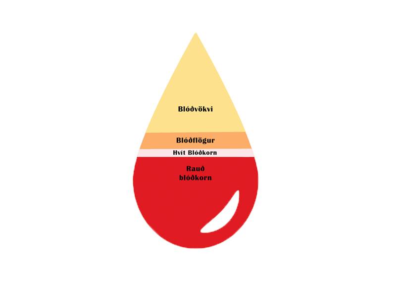 Blóðbankinn - Blóðsugudagar 11. maí