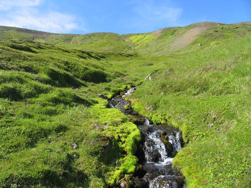 Málþing 10. maí um sólarhringsmeðferð í öndunarvél á heimili sjúklings