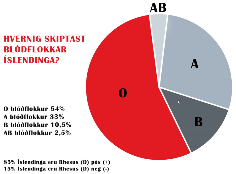 Rauð rós fyrir blóðgjöfina