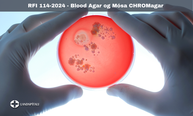 Blood Agar og Mósa CHROMagar / Blóðagar (æti)